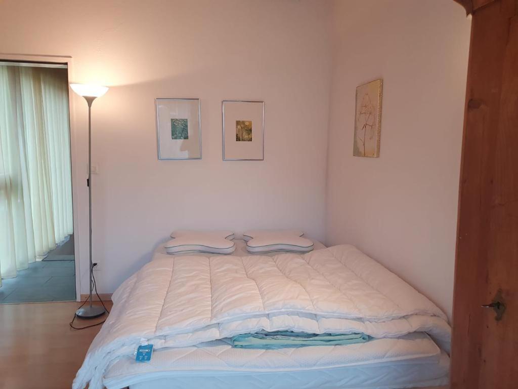 Casa Nadja, Naehe Skigebiet Flims-Lax Ems Extérieur photo